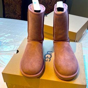 Uggs Classic Short Boots